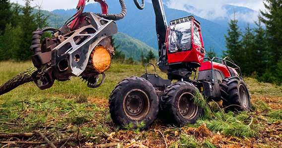 Forestry work